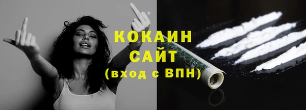 дмт Богданович