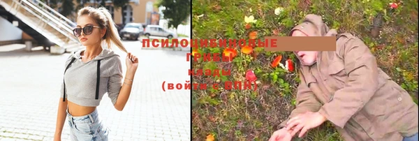2c-b Беломорск