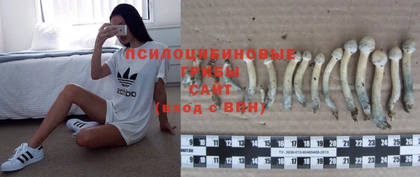 2c-b Беломорск
