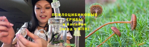 первитин Белокуриха